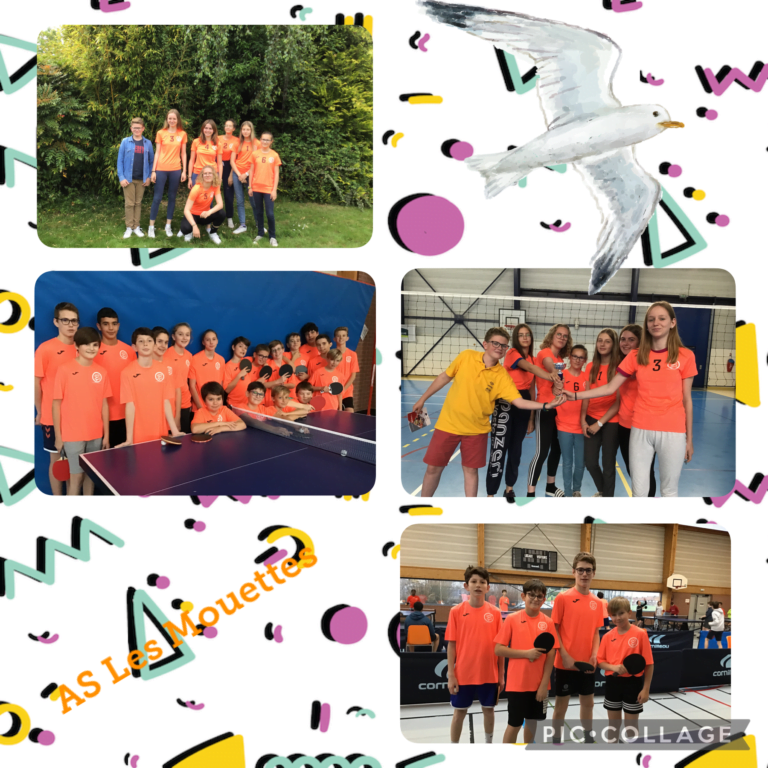 Groupe Scolaire Fénelon Nicolas Barré asso